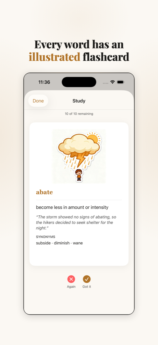 Illustrated flashcards